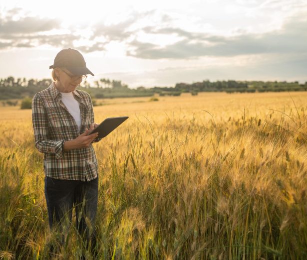 DX4w_pwrpmFmFd5gEi9YEzkvAd3OJLLKMXGNBSUXtm2SWgt4-ecmT_he3DaQjB8V5wrX9xzAf8kq8BazGtiXK2XKWC05NyIZ3SyMd363a6lSCCFYkKi6jT7DQjPmattUMERb5sfTQLij9gL-2-K9GA085S7vEK7lRu3FaTgXfykNR2EbmUJHGgRHDR53iTcV